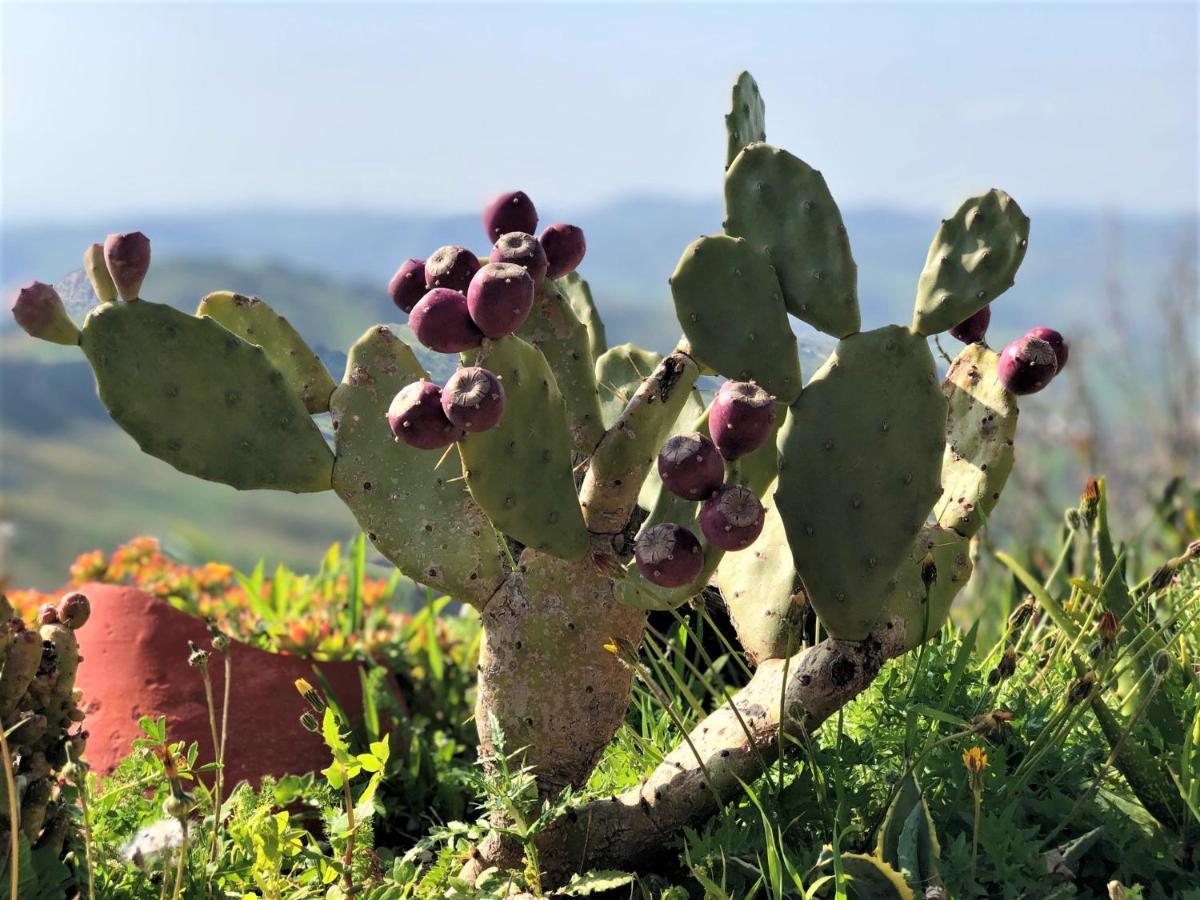 Evergreen House Agrigento Zewnętrze zdjęcie